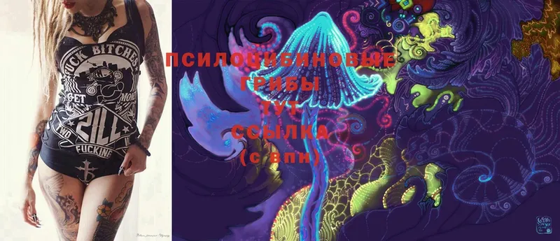 Псилоцибиновые грибы Magic Shrooms  Богданович 